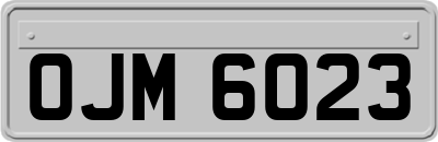 OJM6023