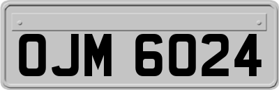 OJM6024
