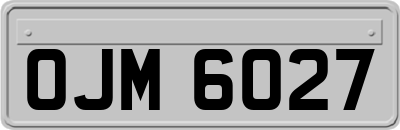 OJM6027