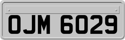 OJM6029