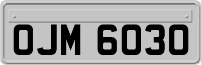 OJM6030