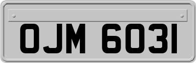 OJM6031