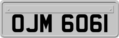 OJM6061