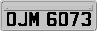 OJM6073
