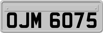OJM6075