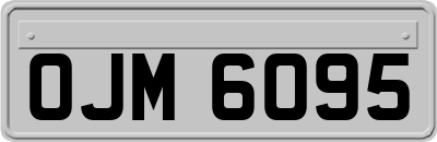 OJM6095