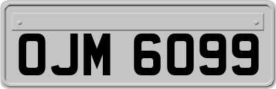 OJM6099
