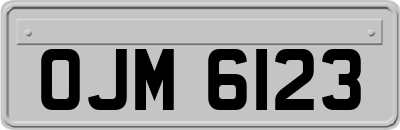 OJM6123