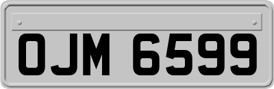 OJM6599
