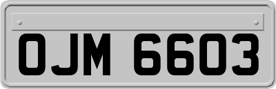OJM6603