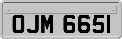 OJM6651