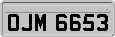 OJM6653