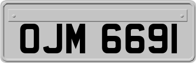 OJM6691