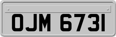 OJM6731