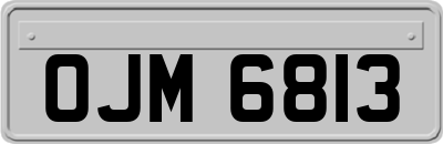 OJM6813