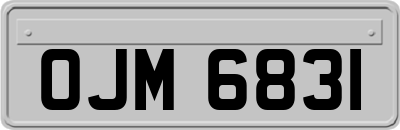 OJM6831
