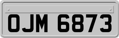 OJM6873