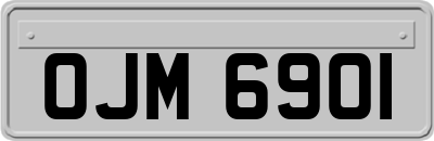 OJM6901