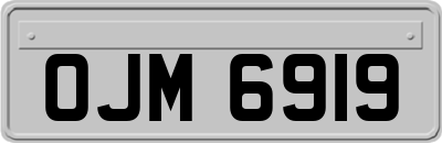 OJM6919