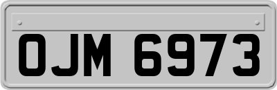 OJM6973