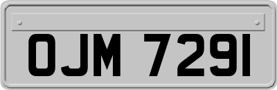 OJM7291