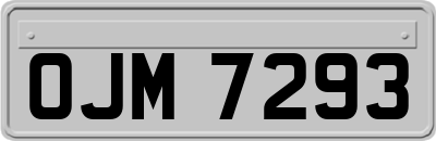 OJM7293