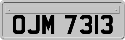 OJM7313
