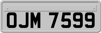 OJM7599