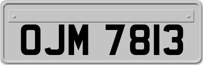 OJM7813