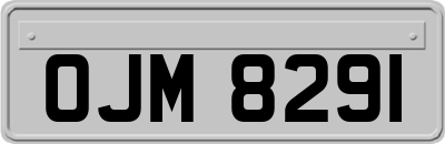 OJM8291