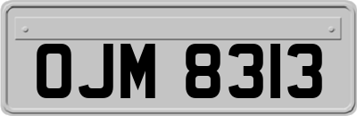 OJM8313