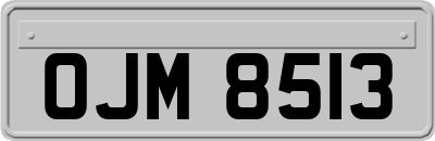 OJM8513