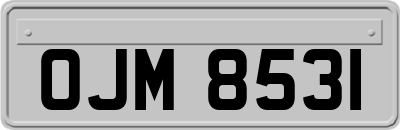 OJM8531