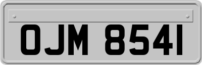 OJM8541