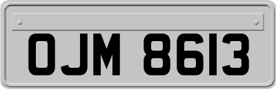 OJM8613