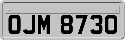 OJM8730