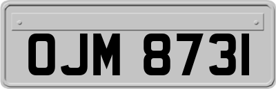 OJM8731