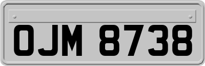 OJM8738