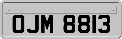 OJM8813