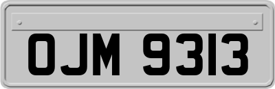 OJM9313