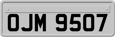 OJM9507