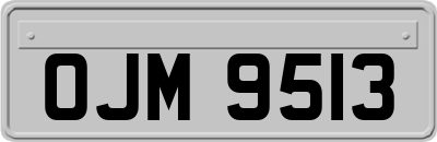 OJM9513