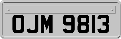 OJM9813