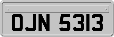 OJN5313