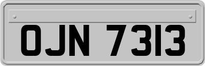 OJN7313