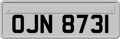OJN8731