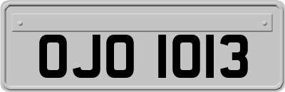 OJO1013