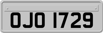 OJO1729