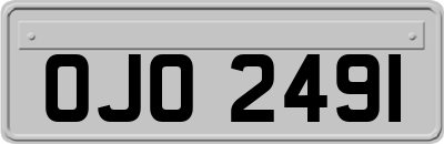 OJO2491