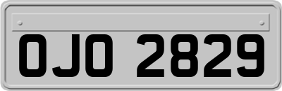 OJO2829